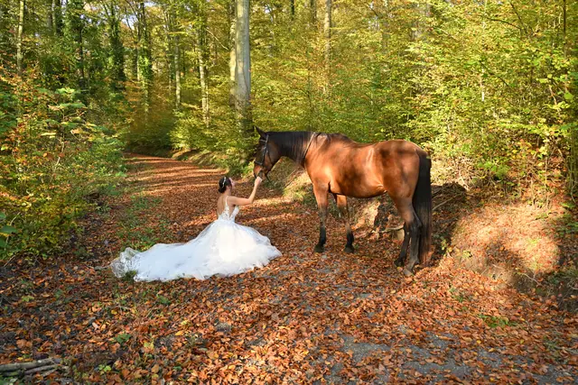 Hochzeitsfoto, Bild 21 von 239